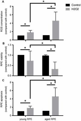 Involvement of microRNA-34a in Age-Related Susceptibility to Oxidative Stress in ARPE-19 Cells by Targeting the Silent Mating Type Information Regulation 2 Homolog 1/p66shc Pathway: Implications for Age-Related Macular Degeneration